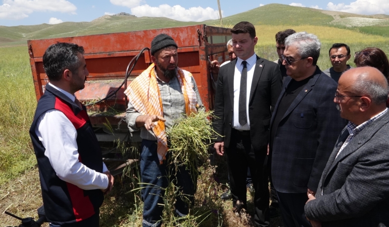 Yem Şalgamında Su Tasarrufu ile İlk Hasat!