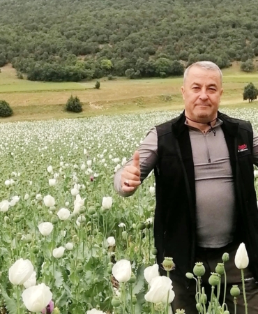 Beyaz Haşhaş Tarlaları Sandıklı’da Görsel Şölen