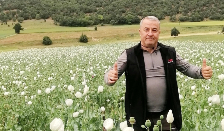 Beyaz Haşhaş Tarlaları Sandıklı’da Görsel Şölen