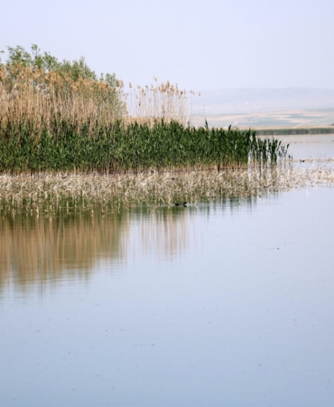Sazlıklar Yakılırsa Metan Gazı Tehlikesi!