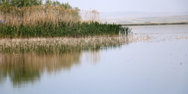 Sazlıkların Yakılması Metan Gazı Riskini Artırıyor