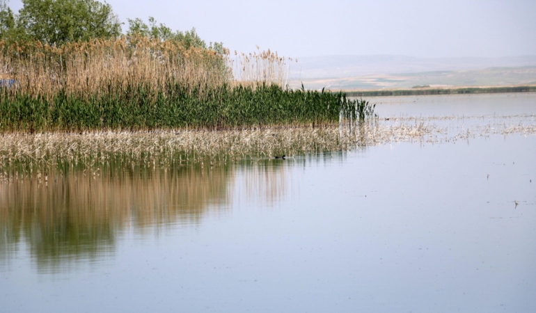 Sazlıkların Yakılması Metan Gazı Riskini Artırıyor