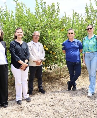 Antalya’da Atıklar Toprağa Dönüşüyor!