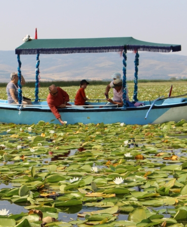 Işıklı Gölü’nde Nilüfer Ziyareti Artıyor!