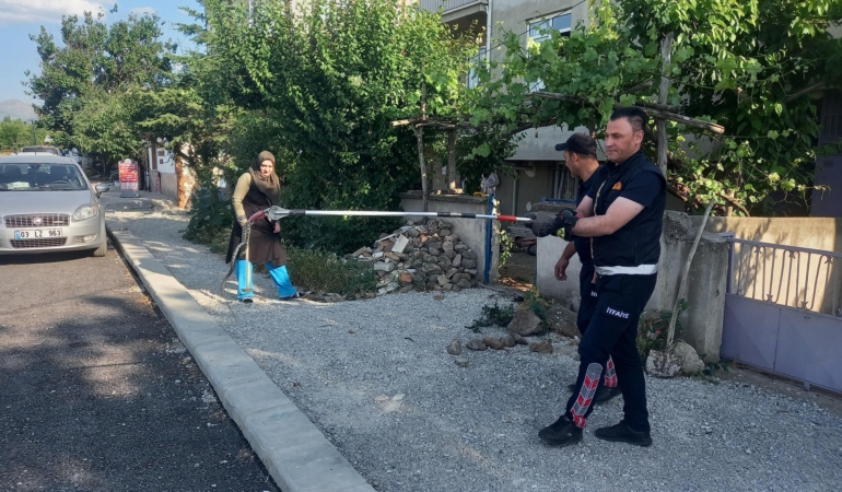 Bahçedeki Yılan, İtfaiye Ekipleriyle Yakalandı