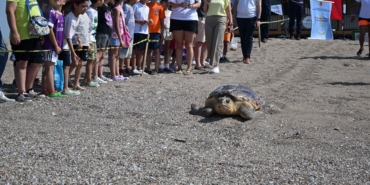 Deniz Kaplumbağası Kahin, Akdeniz’e Döndü!
