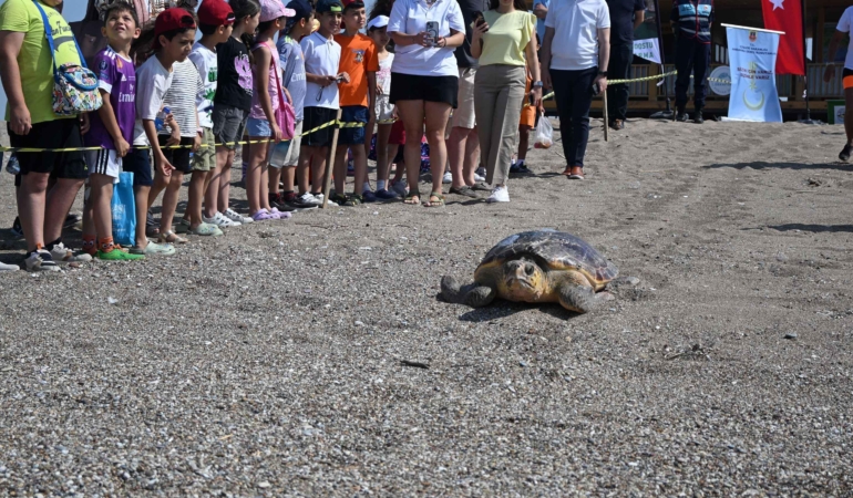 Deniz Kaplumbağası Kahin, Akdeniz’e Döndü!