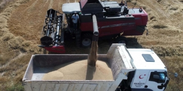 Serik’te Buğday Hasadı Başladı, Ekonomi Canlanıyor!