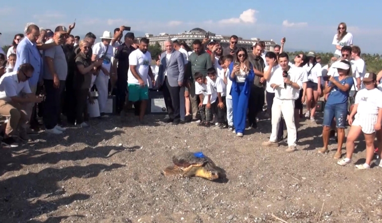 İki Deniz Kaplumbağası Uyduyla Takip Edilecek!