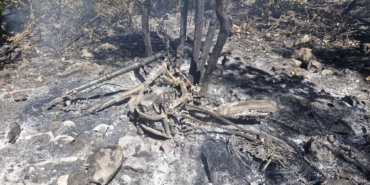 Antalya’da Orman Yangını: Yanmış Motosiklet Bulundu