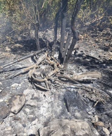 Antalya’da Orman Yangını: Yanmış Motosiklet Bulundu