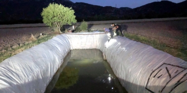 Sulama Havuzuna Düşen Köpek İtfaiye Tarafından Kurtarıldı