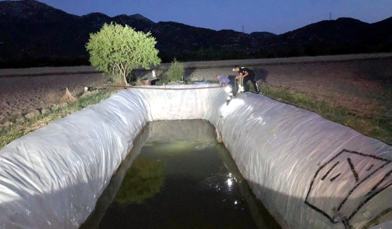 Sulama Havuzuna Düşen Köpek İtfaiye Tarafından Kurtarıldı