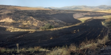 200 Dekar Arpa Tarlası Alevlere Teslim Oldu!