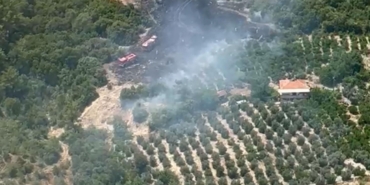 Antalya’da Yangın: Ormana Sıçraması Önleniyor