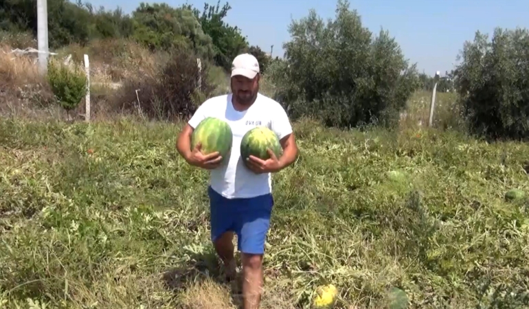 Ücretsiz Karpuz Dağıtan Çiftçiye Büyük İlgi!