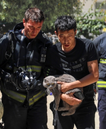 Kedisini Yangında Bırakmayan Adam Kurtarıldı
