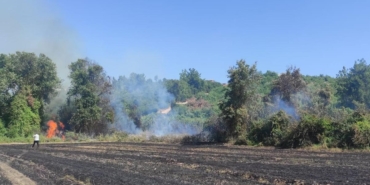 Antalya’da Orman Yangını: 1200 Metrekare Zarar!