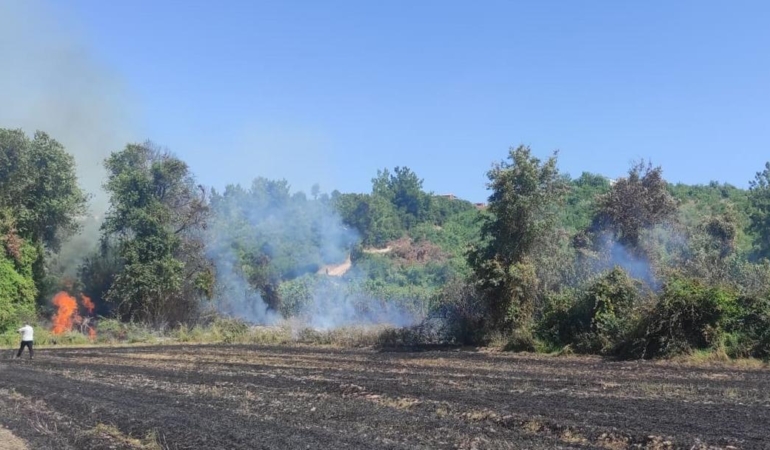 Antalya’da Orman Yangını: 1200 Metrekare Zarar!