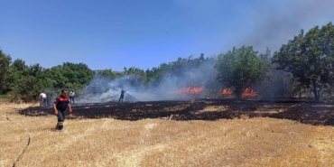 Cam Kırıkları Yangına Neden Oldu: 4 Dönüm Yandı