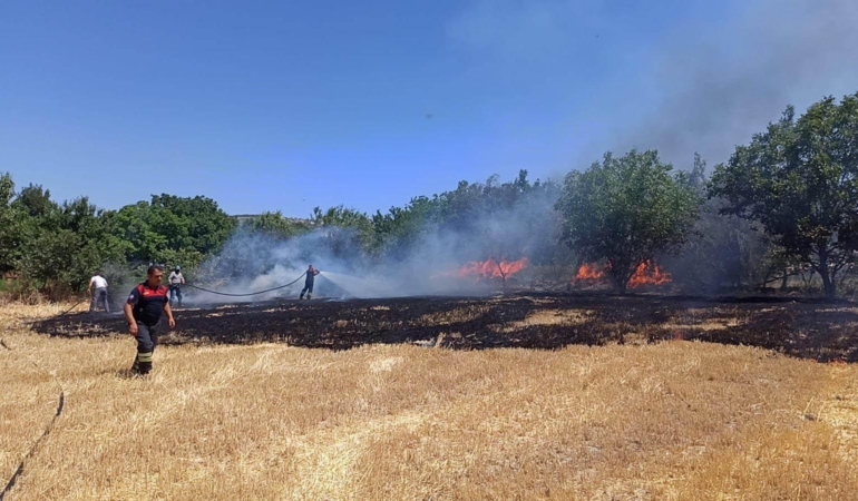 Cam Kırıkları Yangına Neden Oldu: 4 Dönüm Yandı