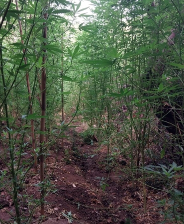 Serik’te Uyuşturucu Operasyonu: 2 Tutuklama!