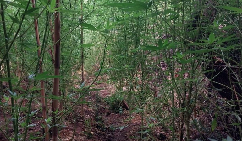 Serik’te Uyuşturucu Operasyonu: 2 Tutuklama!