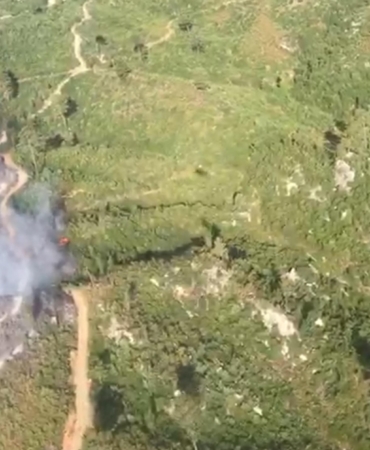 Antalya’da İki İlçede Orman Yangını Alarmı!