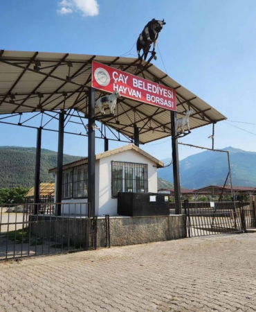 Çay’da Hayvan Pazarı Şap Hastalığı Nedeniyle Kapandı