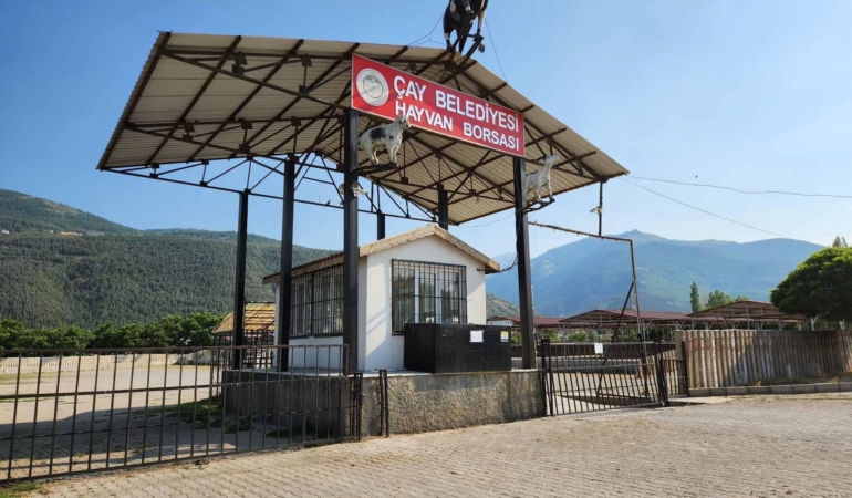 Çay’da Hayvan Pazarı Şap Hastalığı Nedeniyle Kapandı