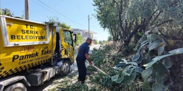 Serik’te Güvenli Trafik İçin Ağaç Budama Çalışmaları
