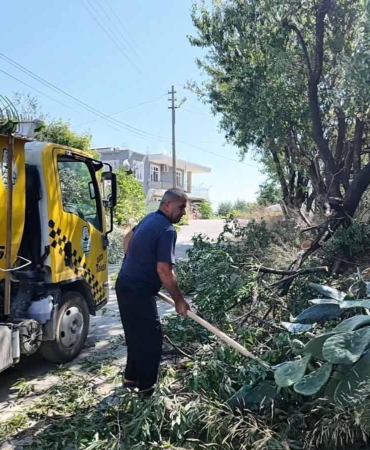 Serik’te Güvenli Trafik İçin Ağaç Budama Çalışmaları
