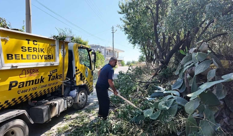 Serik’te Güvenli Trafik İçin Ağaç Budama Çalışmaları