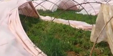 Serik’te Hortum, Seraları Harabe Etti!