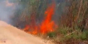 Serik’te Sazlık Yangını Büyümeden Kontrol Altında