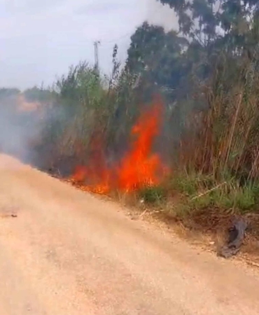 Serik’te Sazlık Yangını Büyümeden Kontrol Altında