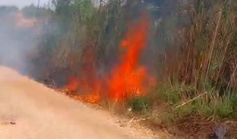 Serik’te Sazlık Yangını Büyümeden Kontrol Altında