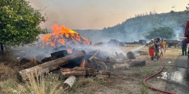 Antalya’da Orman Yangını: Hızla Müdahale Başlatıldı!