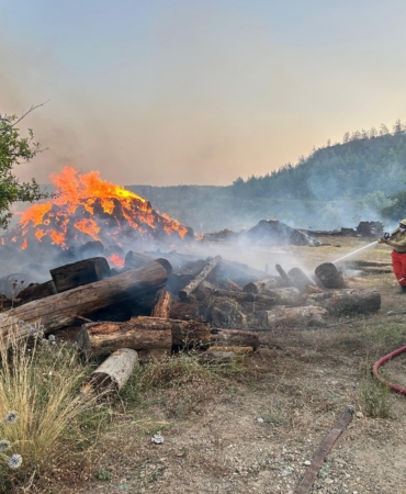 Antalya’da Orman Yangını: Hızla Müdahale Başlatıldı!