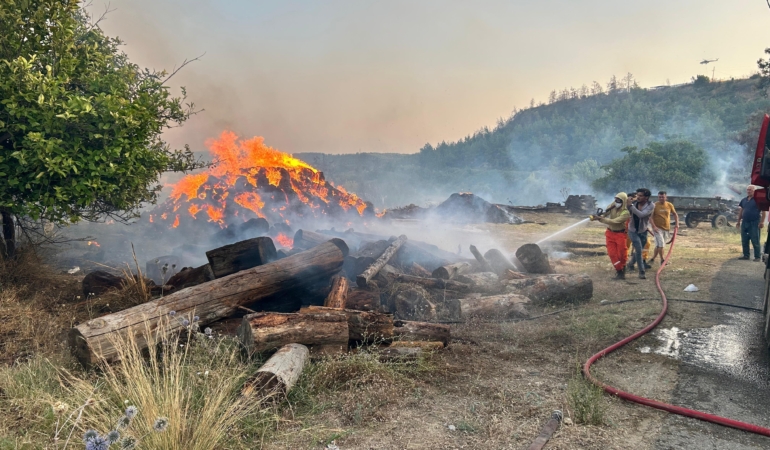 Antalya’da Orman Yangını: Hızla Müdahale Başlatıldı!