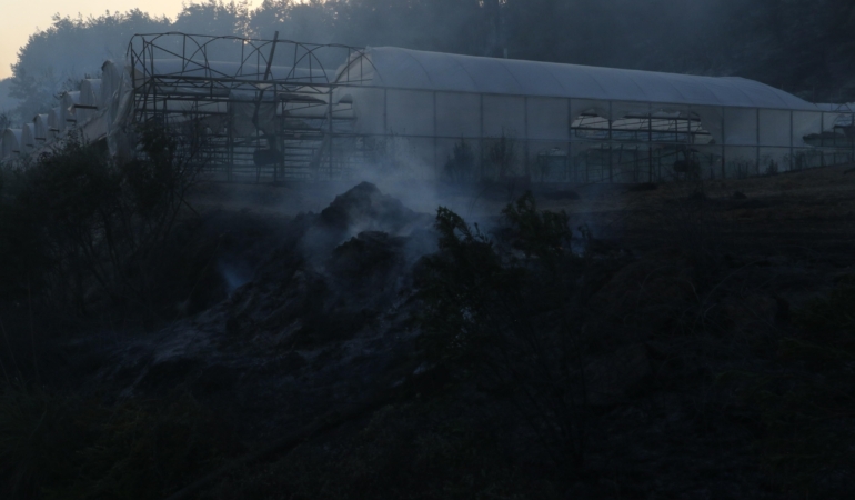 Antalya’da Orman Yangını Kontrol Altına Alındı!