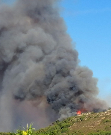 Antalya’da Orman Yangını: Ekipler Mücadele Ediyor!
