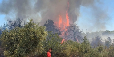 Aksu’da Orman Yangını: Havadan ve Karadan Müdahele!