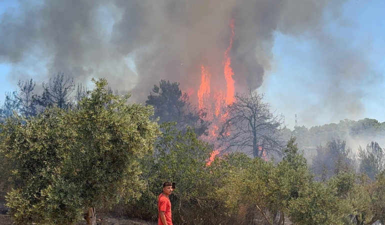 Aksu’da Orman Yangını: Havadan ve Karadan Müdahele!