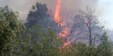 Antalya’da 9 Günde 14 Orman Yangını Korkuttu!