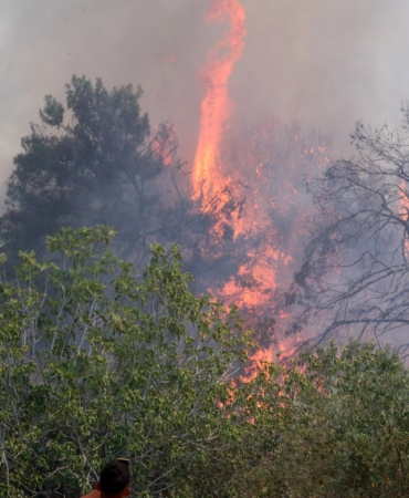 Antalya’da 9 Günde 14 Orman Yangını Korkuttu!