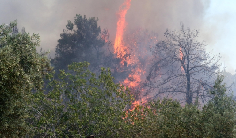 Antalya’da 9 Günde 14 Orman Yangını Korkuttu!