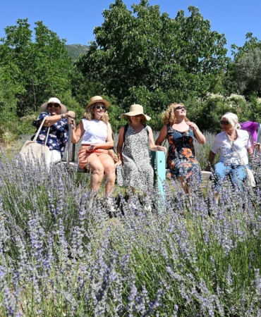Mor Turizm Başladı: Kemer’de Lavanta Bahçesi Açıldı