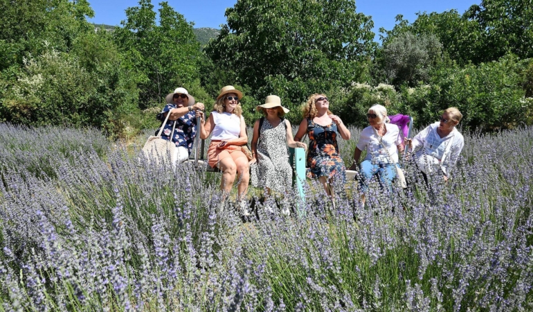 Mor Turizm Başladı: Kemer’de Lavanta Bahçesi Açıldı