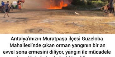 Güzeloba’da Yangınla Mücadele Devam Ediyor